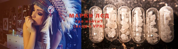 гашик Алексин