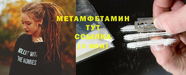 индика Саяногорск