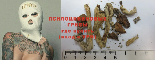 гашик Алексин