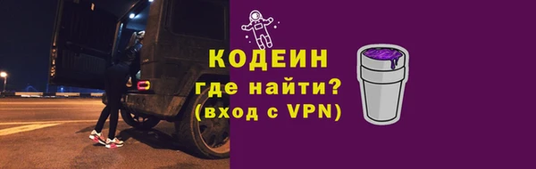 индика Саяногорск