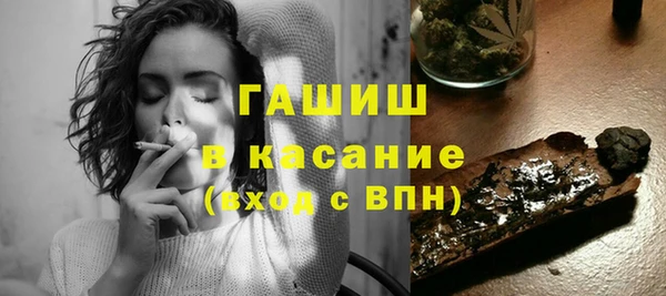 гашик Алексин