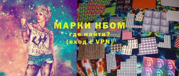 гашик Алексин