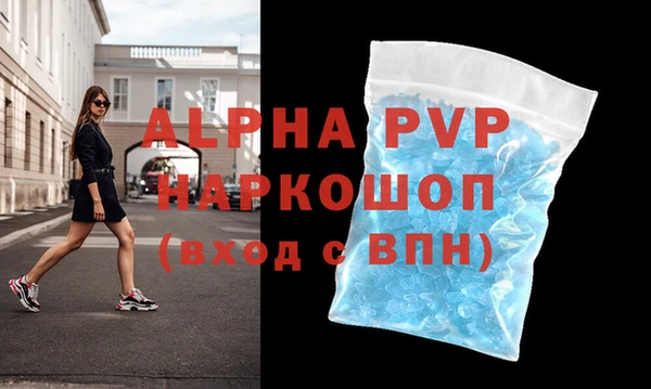 индика Саяногорск